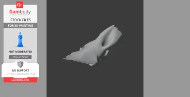 3D model of an Avaceratops skull designed for 3D printing, displayed on a dark background.