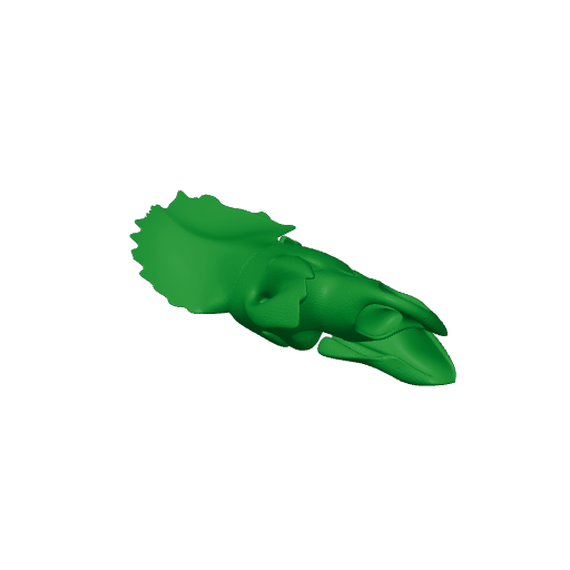 Avaceratops Skull.3mf