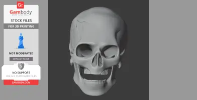 Avalonianus Skull - Skull Replica STL
