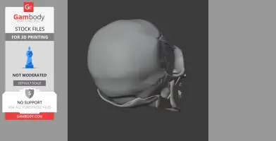 Avalonianus Skull - Skull Replica STL