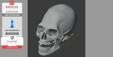 Avalonianus Skull - Skull Replica STL