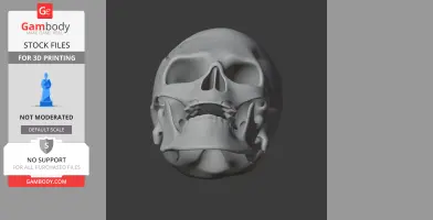 Avalonianus Skull - Skull Replica STL