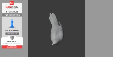 3D model of an Andaman cuckoo-dove, detailed and ready for 3D printing.