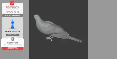 3D model of an Andaman cuckoo-dove, detailed feathers and posture, for 3D printing.