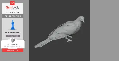 3D model of an Andaman cuckoo-dove, detailed with feathers, for printing.