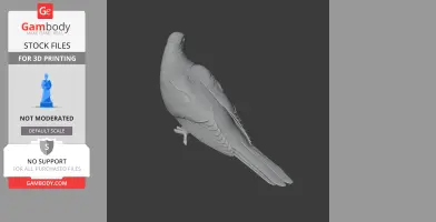 A detailed 3D model of an Andaman cuckoo-dove, designed for 3D printing.