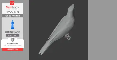 3D model of an Andaman cuckooshrike standing, designed for 3D printing.