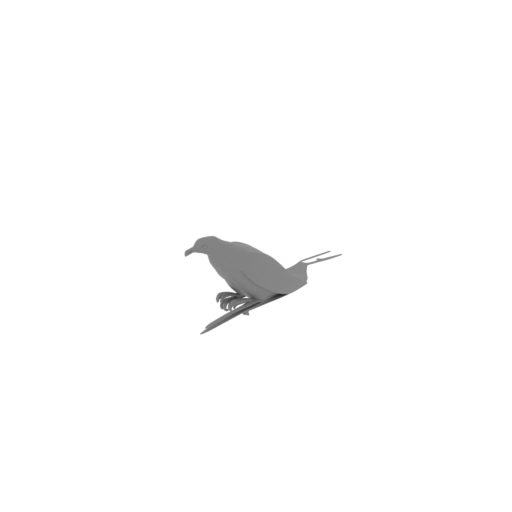 Andaman green pigeon.stl