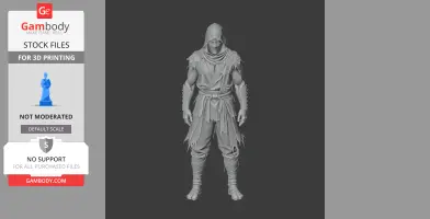 A hooded ninja figure with tattered clothing, ready for 3D printing.