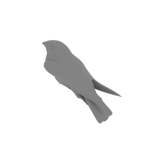 Andaman nightjar.stl
