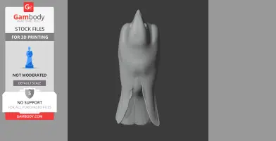 3D model of a streamlined, abstract flying bird viewed from above.