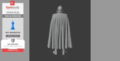 A 3D model of a character with a long cape and boots, viewed from the back.