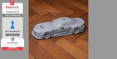 BMW Z4 GTE - Scale Vehicle STL