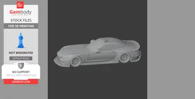 BMW Z4 GTE - Scale Vehicle STL