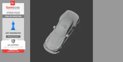 BMW Z4 GTE - Scale Vehicle STL