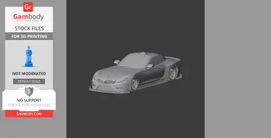 BMW Z4 GTE - Scale Vehicle STL