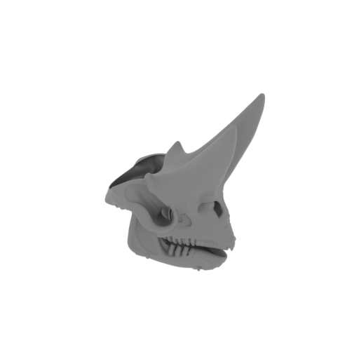Arsinoitherium Skull.stl