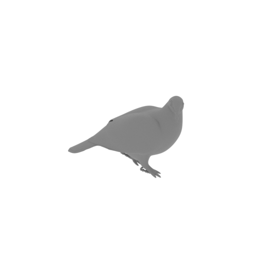 Andaman wood pigeon.stl