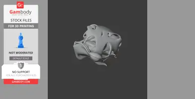 3D model of an Avebrevicauda skull, featuring intricate bone structures and openings.
