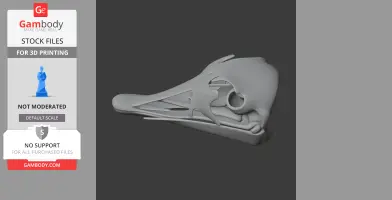 3D model of an Avebrevicauda skull replica for printing, showcasing intricate bone structure.