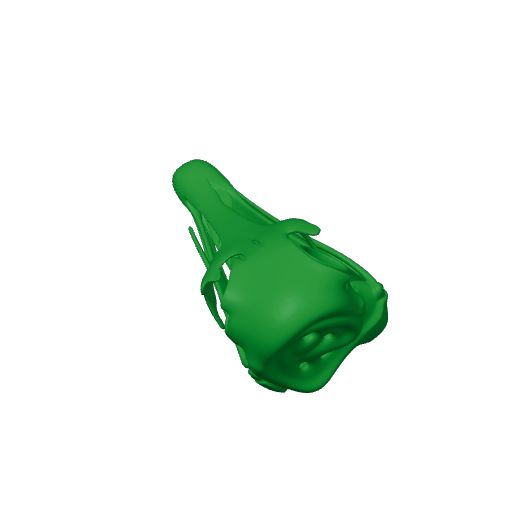 Avebrevicauda Skull.3mf