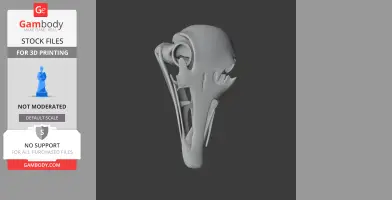 3D model of an Avebrevicauda skull replica, designed for 3D printing.