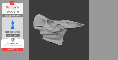 Bagaceratops Skull - Skull Replica STL