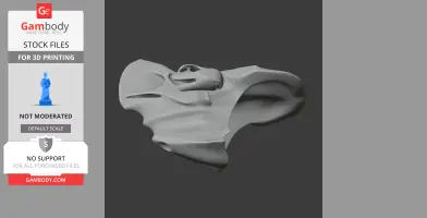 Bagaceratops Skull - Skull Replica STL