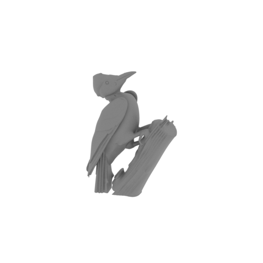 Andaman woodpecker.stl