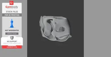 A detailed 3D model of a Balaur skull with smooth, abstract contours designed for 3D printing.