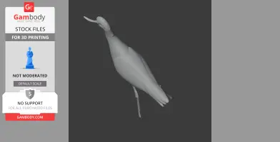 Andean avocet - Prehistoric Animal STL