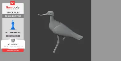 Andean avocet - Prehistoric Animal STL