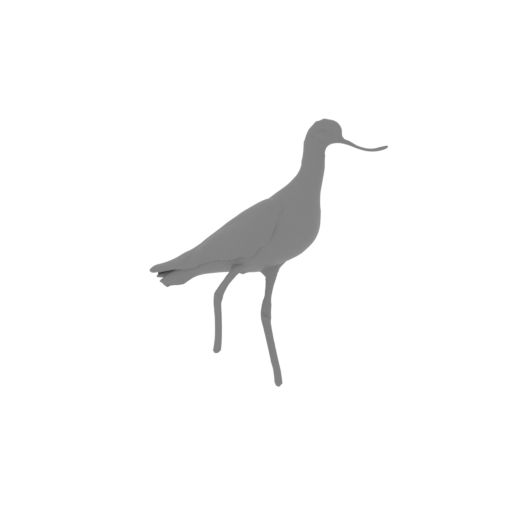Andean avocet.stl
