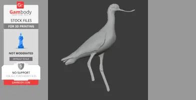 Andean avocet - Prehistoric Animal STL