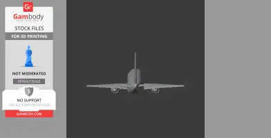 3D model of a Boeing 737 from a rear view, designed for 3D printing.