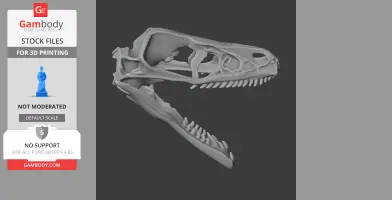 Bambiraptor Skull - Skull Replica STL