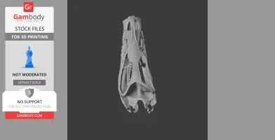 Bambiraptor Skull - Skull Replica STL
