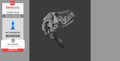 Bambiraptor Skull - Skull Replica STL
