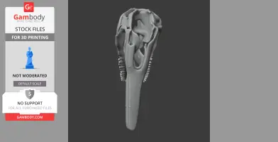 Bambiraptor Skull - Skull Replica STL