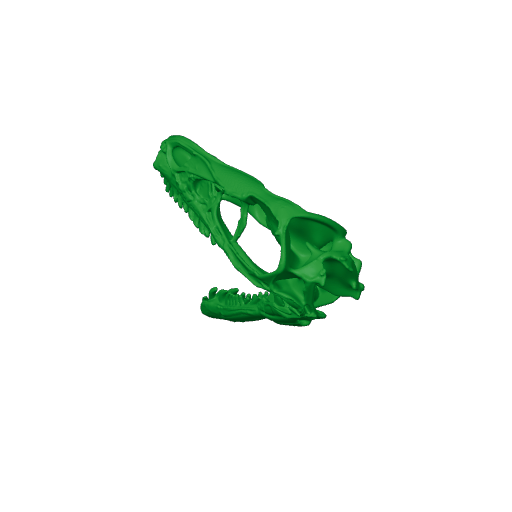 Bambiraptor Skull.3mf