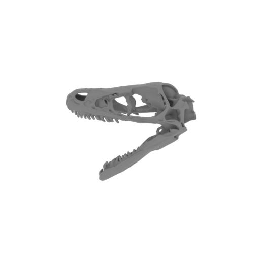 Bambiraptor Skull.stl