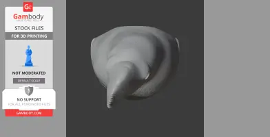 Andean Cock-of-the-rock - Prehistoric Animal STL
