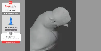 Andean Cock-of-the-rock - Prehistoric Animal STL