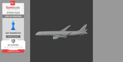 Boeing 787-9 Dreamliner - Scale Vehicle STL
