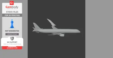 Boeing 787-9 Dreamliner - Scale Vehicle STL