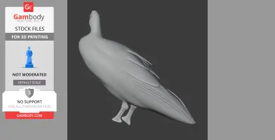 Andean coot - Prehistoric Animal STL