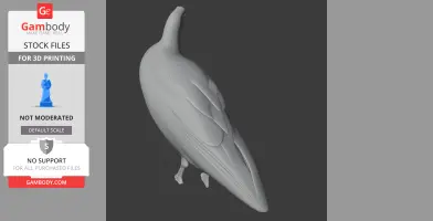 Andean coot - Prehistoric Animal STL