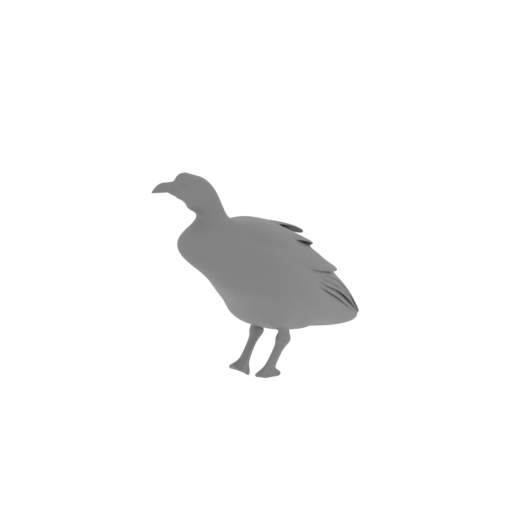 Andean coot.stl