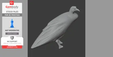 Andean coot - Prehistoric Animal STL