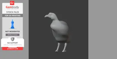 Andean coot - Prehistoric Animal STL